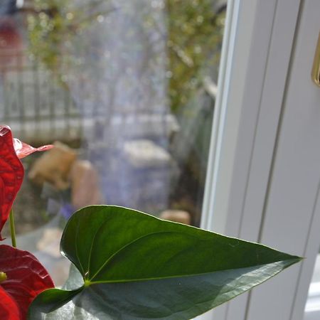Angel'S Apartment Karlovy Vary Ngoại thất bức ảnh